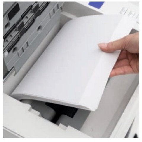  Ideal SHREDCAT 8292